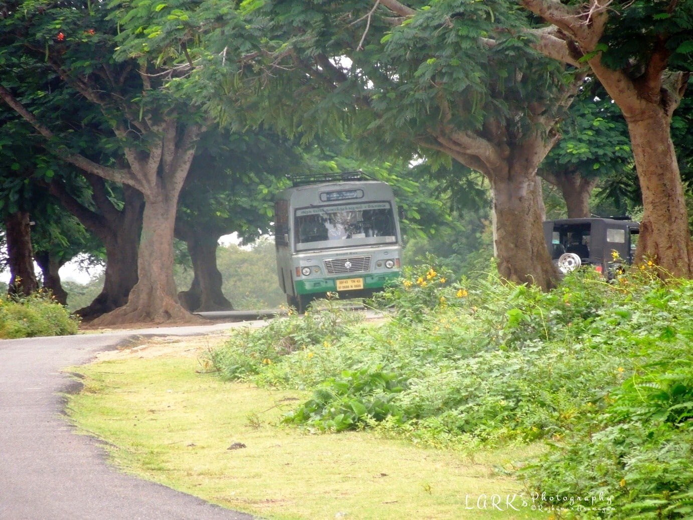 TNSTC TN 43 N 0688 Ooty - Moyar