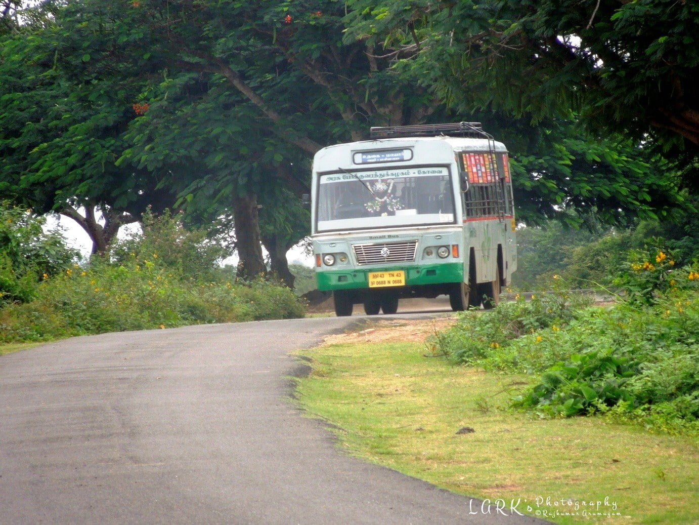 TNSTC TN 43 N 0688 Ooty - Moyar Bus Timings 