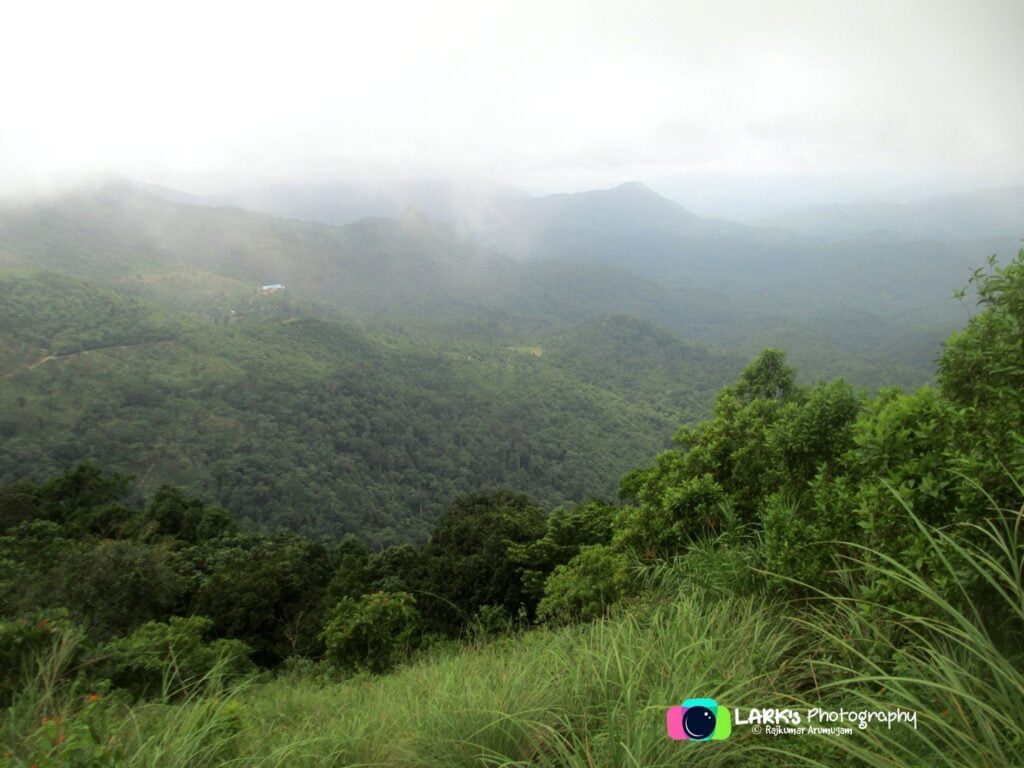 Ponmudi Hills