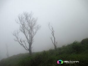 Ponmudi Hills