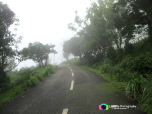 Ponmudi Hills