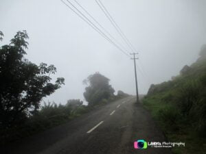 Ponmudi Hills