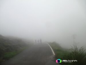 Ponmudi Hills