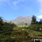 Eravikulam National Park, Munnar