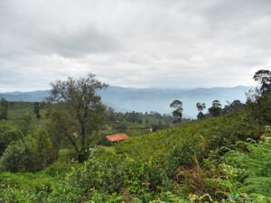 Places to visit in Nilgiris - Hiriyaseegai Village