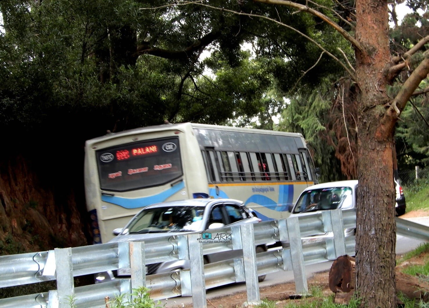 TNSTC TN 43 N 0369 Ooty - Coimbatore - Palani Bus Timings