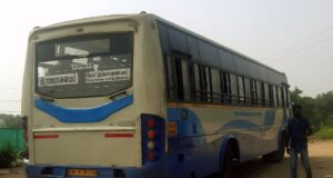 TNSTC TN 67 N 1190 Mettupalayam - Rajapalayam Bus Timings