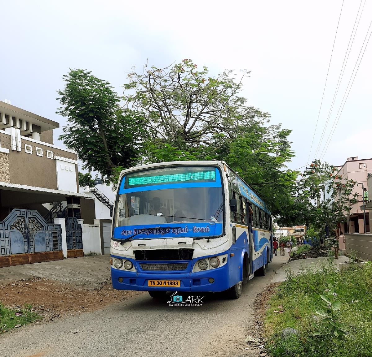 TNSTC TN 30 N 1893 Salem to Mettur Bus Timings