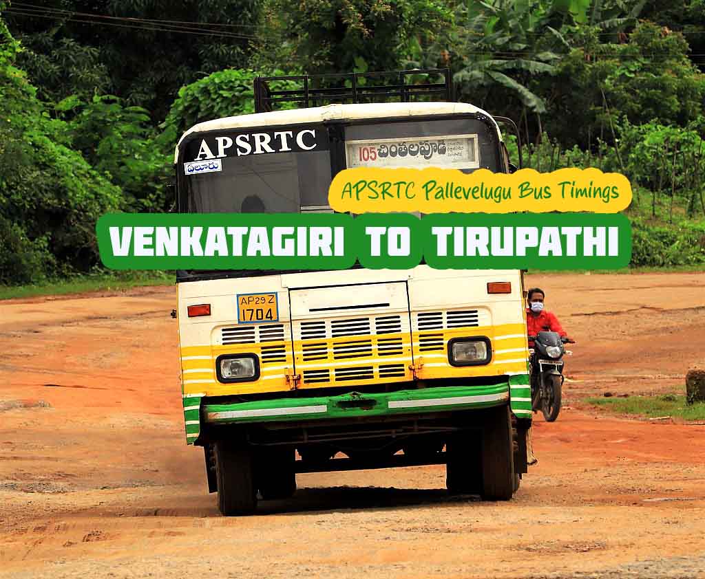 APSRTC Pallevelugu Venkatagiri to Tirupathi Bus Timings