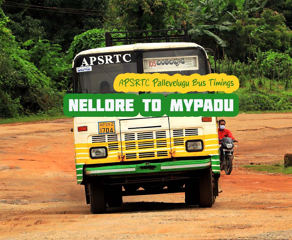 APSRTC Pallevelugu - Nellore to Mypadu Bus Timings