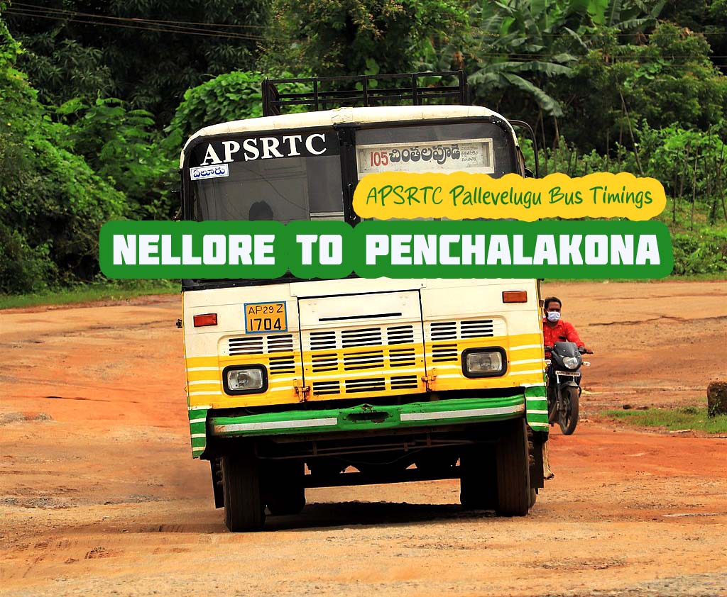 APSRTC Pallevelugu - Nellore to Penchalakona Bus Timings