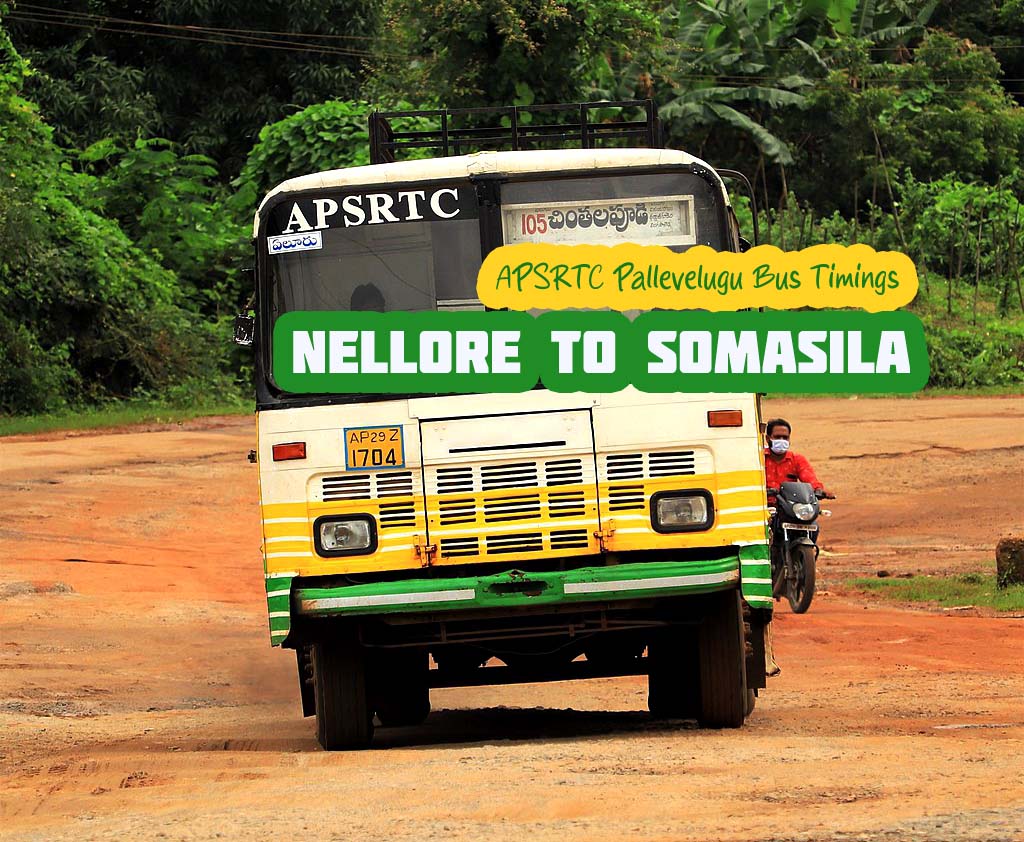 APSRTC Pallevelugu - Nellore to Somasila Dam Bus Timings