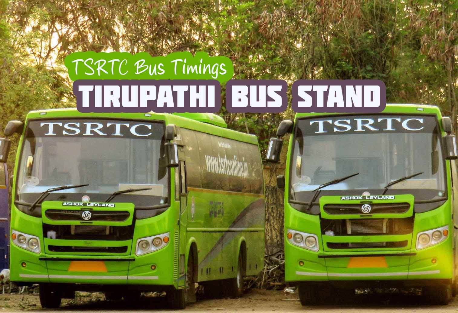 TSRTC Bus Timings from Tirupathi Bus Stand