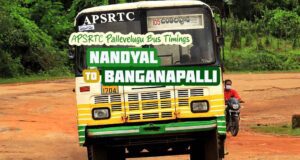 APSRTC Pallevelugu - Nandyal to Banganapalli Bus Timings