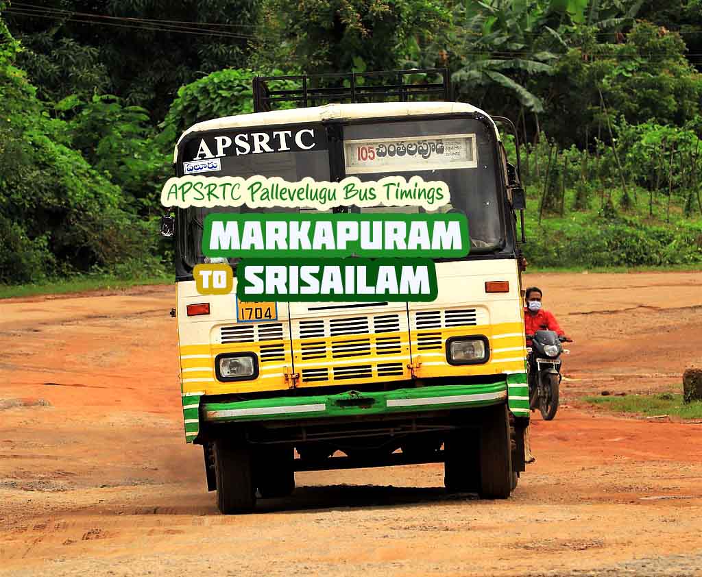 APSRTC Pallevelugu - Markapuram to Srisailam Bus Timings