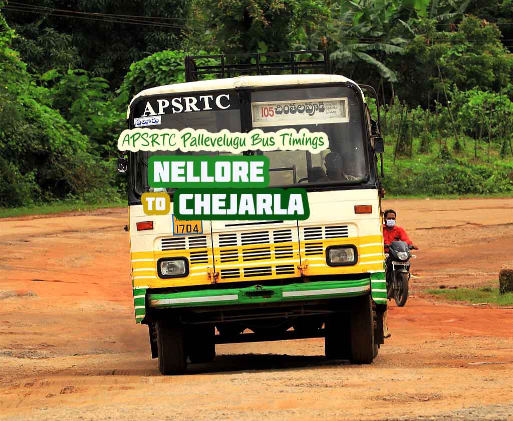 APSRTC Pallevelugu - Nellore to Chejarla Bus Timings
