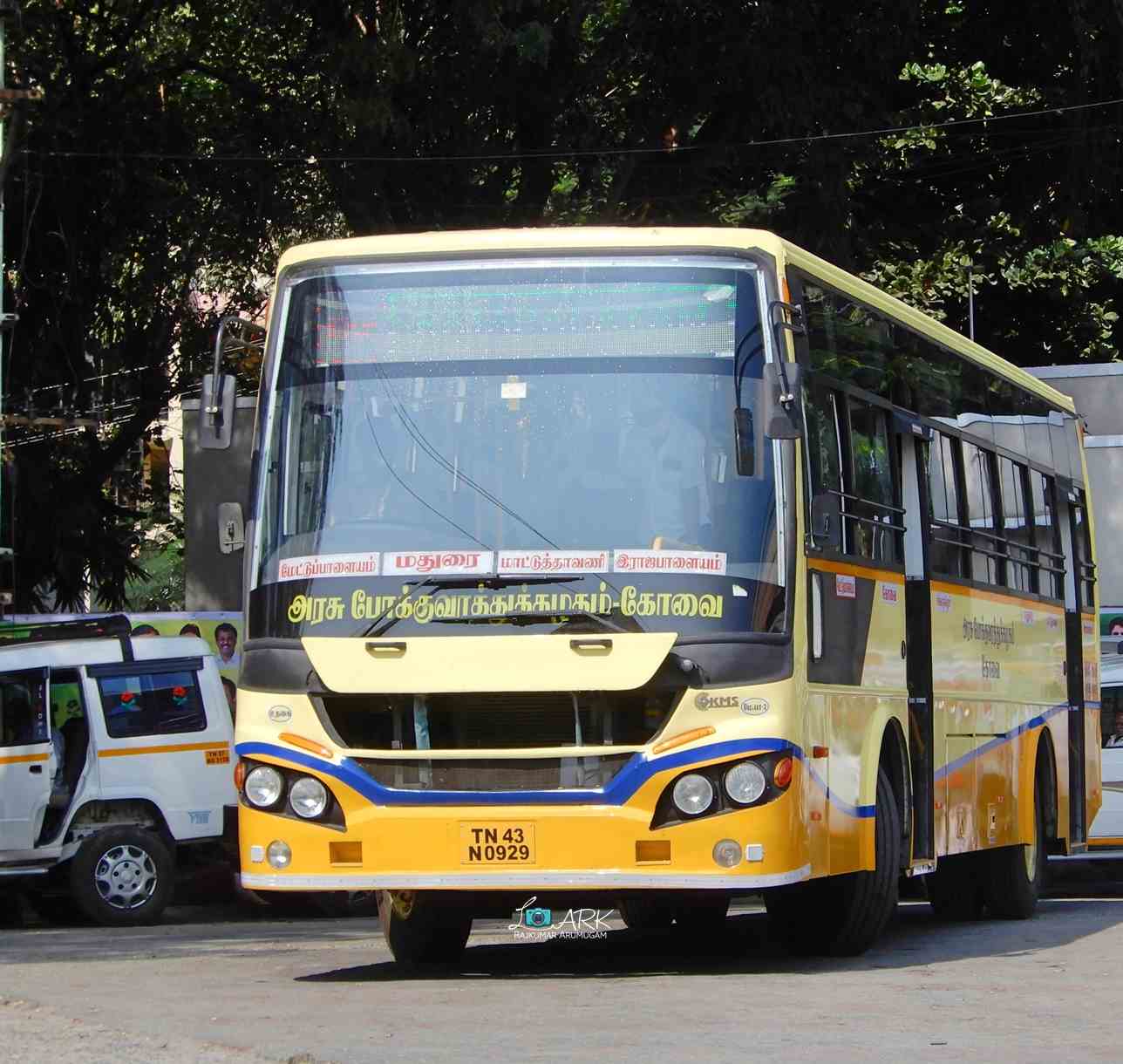 TNSTC TN 43 N 0929 Mettupalayam to Rajapalayam Bus Timings