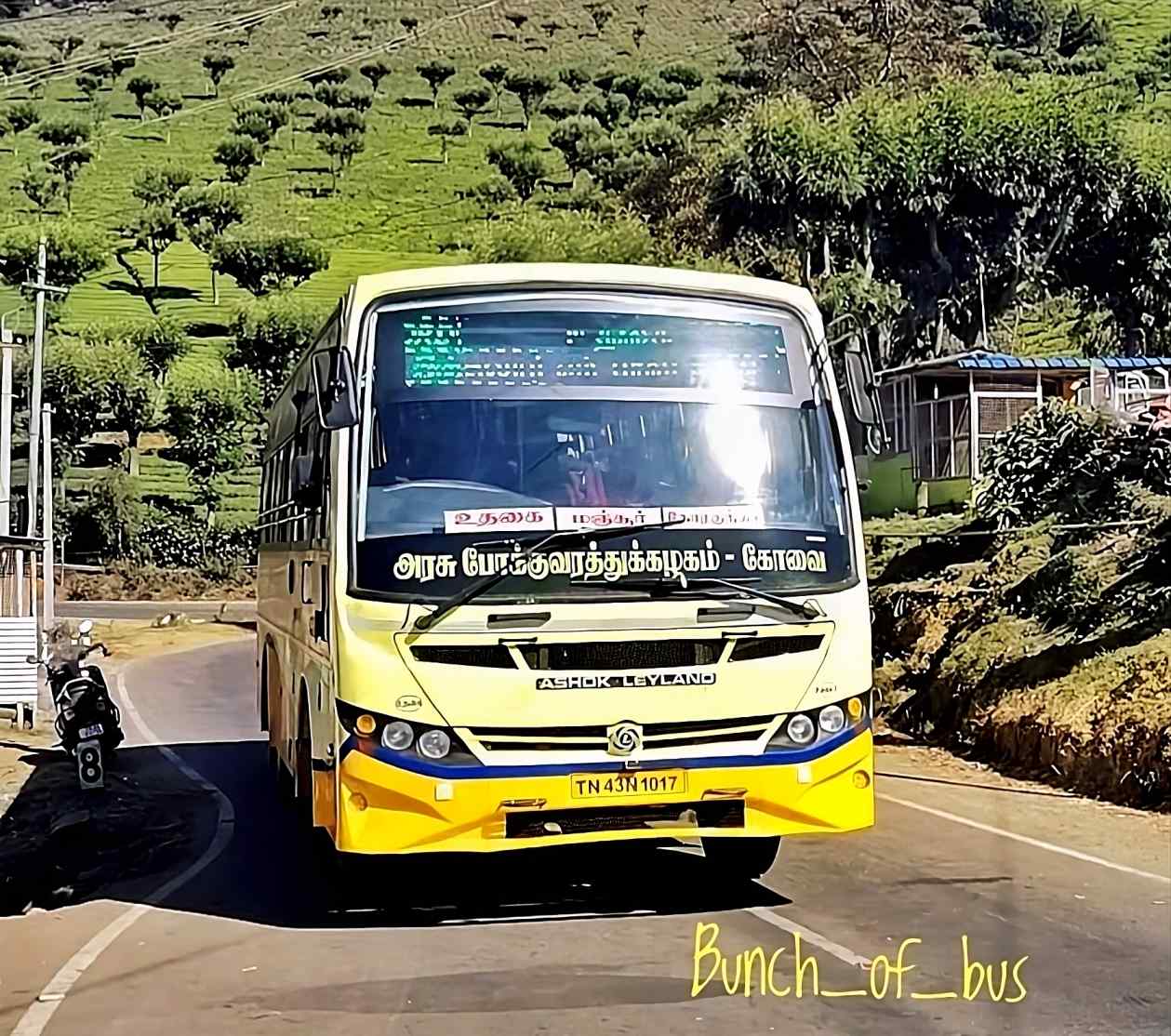 TNSTC TN 43 N 1017 Ooty to Korakundah Bus Timings