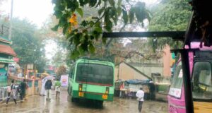 Bus Timings from Pernambut Bus Stand