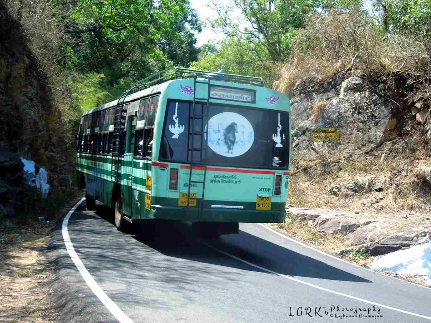 Pollachi to High Forest Bus Timings - TNSTC TN 38 N 1303