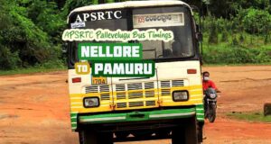 Nellore to Pamuru APSRTC Bus Timings